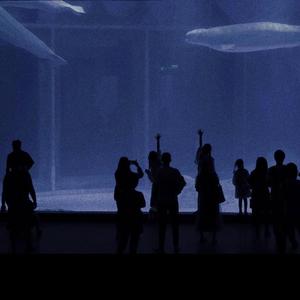 亚洲AV无码㊙️桃乃木
