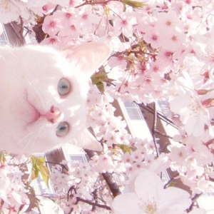 亚洲AV无码㊙️桃乃木
